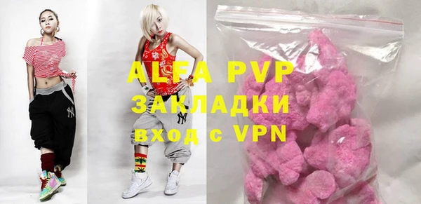 стафф Зеленокумск