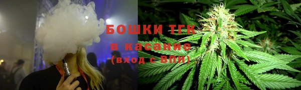 шишки Зеленодольск