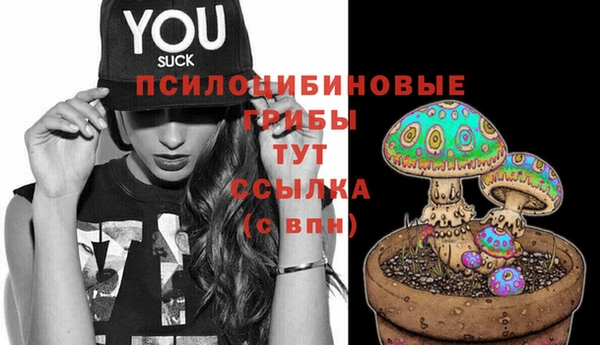 стафф Зеленокумск