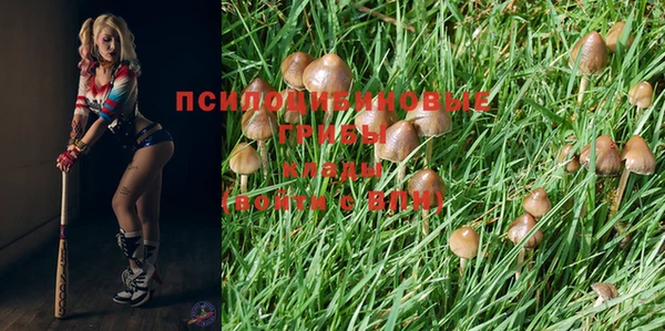 мескалин Инсар