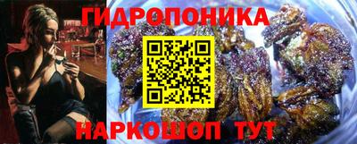 стафф Гулькевичи