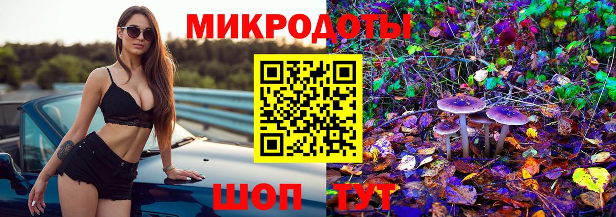 Псилоцибиновые грибы Psilocybe  Галлюциногенные грибы MAGIC MUSHROOMS  Вход с VPN  Одинцово 