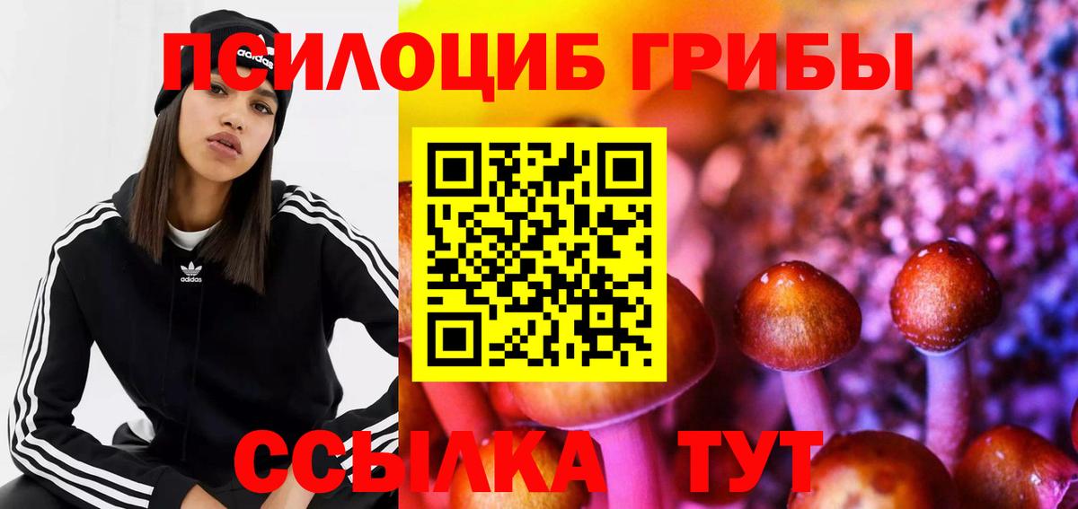 Псилоцибиновые грибы мицелий Одинцово